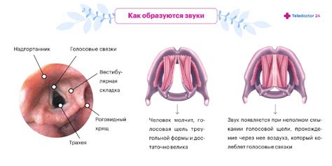 Симптомы выпадения голоса