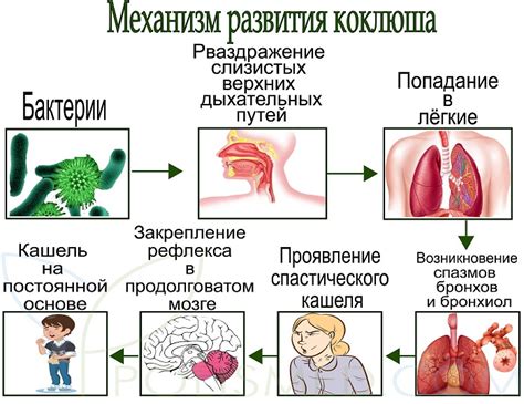 Симптомы и особенности