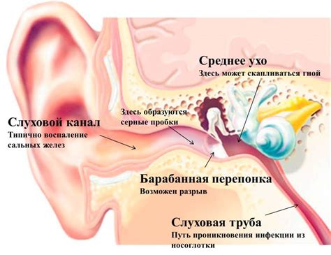 Симптомы мокнения в ухе