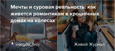 Симфония айсберга в женском сновидении: мечты и суровая реальность