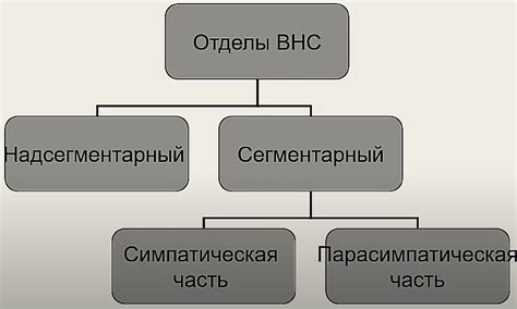 Синдром гиперактивности вегетативной нервной системы