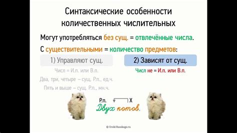 Синтаксические особенности использования