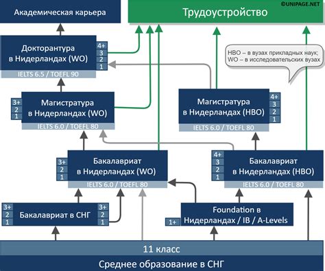 Система образования и университеты: