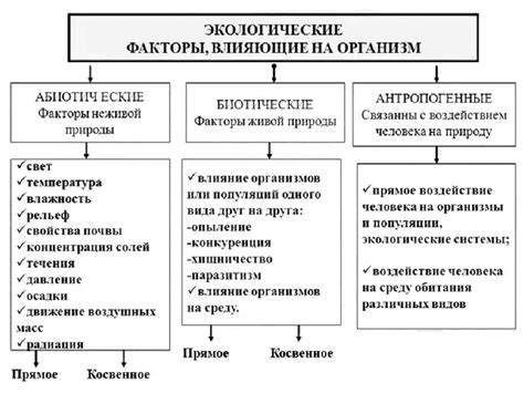 Ситуационный контекст: влияние окружающей среды на различные интерпретации сновидений