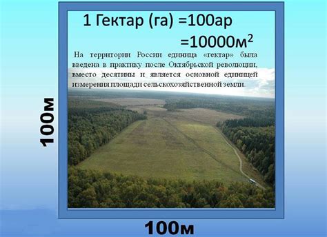 Сколько гектаров в 100 метрах на 100 метрах