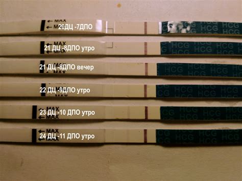 Сколько дней стоит подождать после овуляции, чтобы получить достоверный результат?