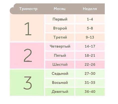 Сколько месяцев в 13 недель и 2 дня?