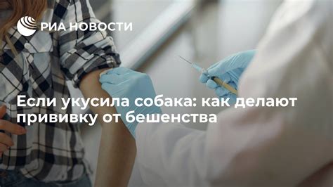 Сколько раз делают прививку от бешенства кошкам в год?