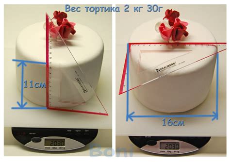 Сколько человек вмещает торт диаметр 22 см?