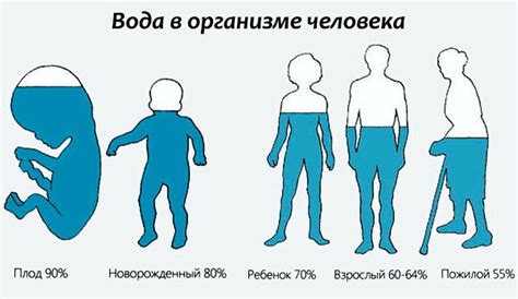 Сколько человек составляет 20 от 30?