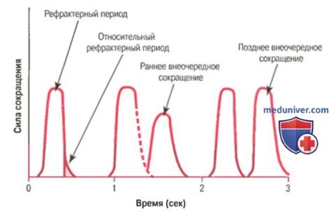 Скорость действия Монурала