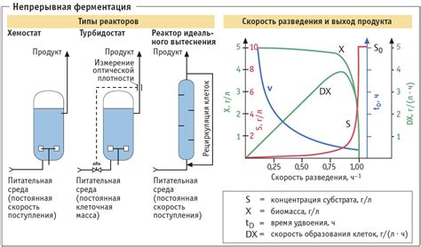 Скорость и активность ферментации