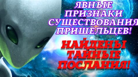 Скрытые послания ночного мира: что сон рассказывает о пропавшем зятьке лаврового рода?