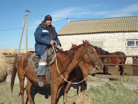 Словно путешествие