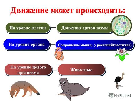 Сложность объяснения сложных организмов