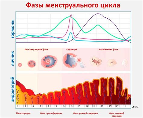 Смерть и рождение: сновидения о беременности и изменении жизненного цикла