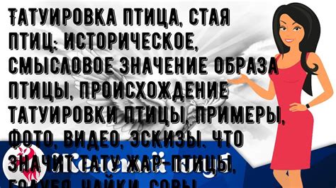 Смысловое значение визии небольшой птицы, приземлившейся на конечность дамы