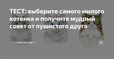 Смысловое значение сообщений от разговорного пушистого друга во время снов