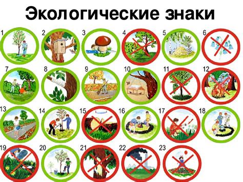 Смысловые знаки дикой природы в предчувствиях ночного сна