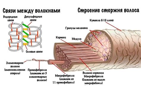 Смысл подстригания волос и его роль в распознавании себя