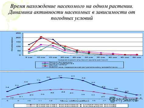 Смысл сна в зависимости от погодных условий и состояния течения реки