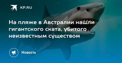 Смысл сна о встрече с неизвестным существом в Австралии и его отражение на нашей жизни