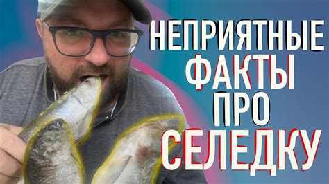 Смысл сна о сольной селедке: что означает этот характерный образ?