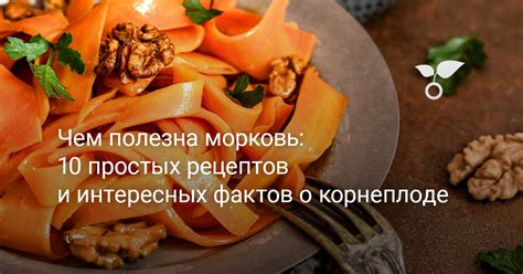 Смысл сновидения о красной корнеплоде