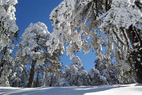 Снег в горных районах и на равнинах