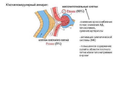 Снижение кровоснабжения