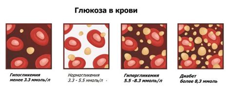 Снижение уровня глюкозы в крови: последствия и проблемы