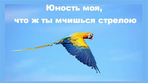 Снилось, что ты мчишься стремительно без значимости: Осмысление сновидений