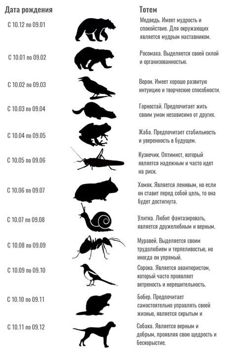 Сновидение о пойманной мышке: возможные истолкования