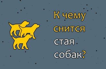 Сновидения о стае злых собак: предупреждение опасности