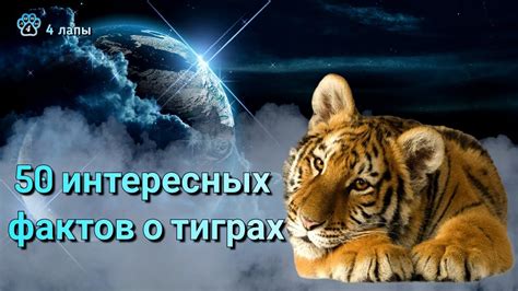 Сновидения о тиграх: надежда и внутренняя сила