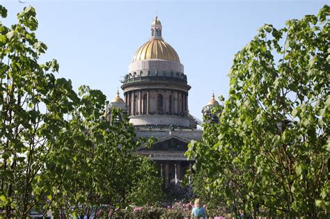 Сновидения с тёмной особой: умозаключения о предстоящих событиях