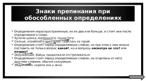 Сны маленького пушистого нового прибытка: что они сообщают о его физическом и эмоциональном состоянии?