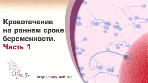 Сны о кровянистых выделениях во время беременности: вероятные причины и их символическое значение