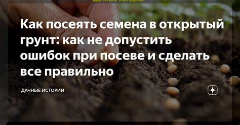 Сны о посеве и урожае: как наши ночные видения свидетельствуют о взаимосвязи с природой?