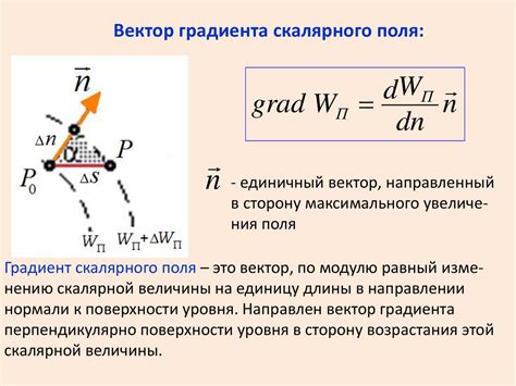 Сны о потере волос и связь с утратой энергии и жизненных сил