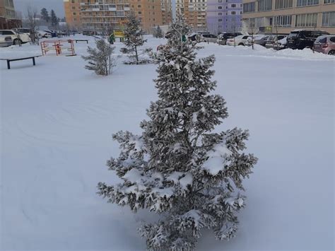 Сны о сломанном потолке