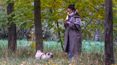 Собачья приветливость: важное поведение для собак