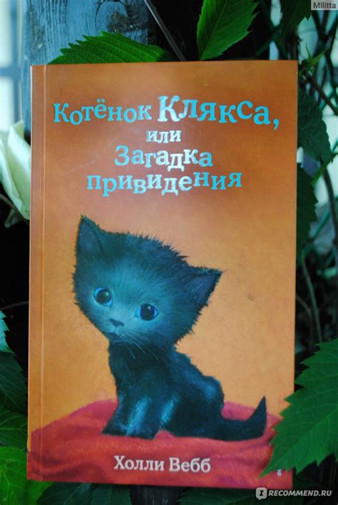 Соблазнительная загадка привидения Шаннары: что она может означать?