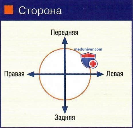 Советы по интерпретации снов, связанных с конфликтом, который распространяется на другие дни