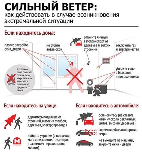 Советы по поведению при сильном ветре