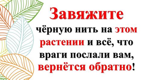 Советы по противодействию недоброжелателям в сновидениях о быстро бегущих грызунах