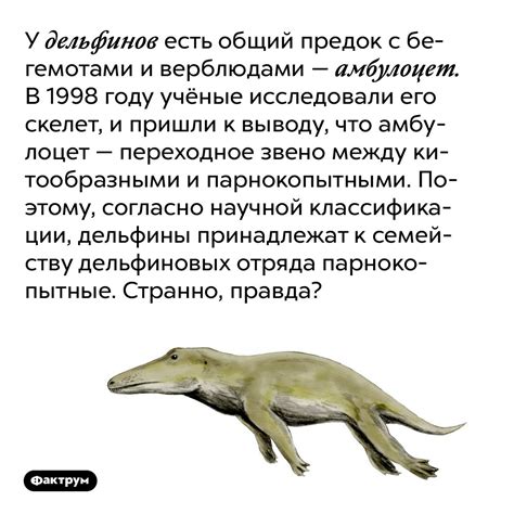 Согласованность сновидений: взаимосвязь между бегемотами и другими символами