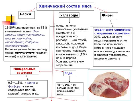 Содержание белка в мясе: представление в цифрах