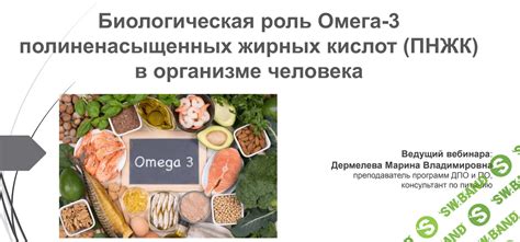 Содержание омега 3 в организме человека: ключевые факторы и пути получения