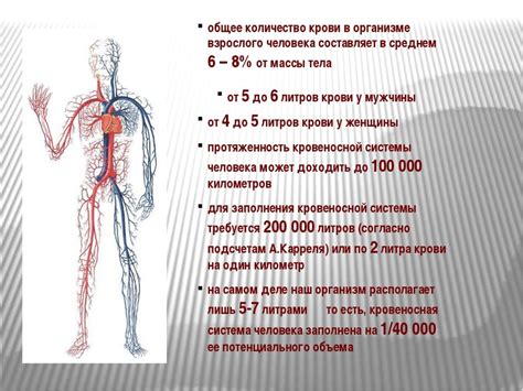 Сокровенные значения снов о женщине и отсутствии крови в теле